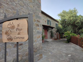 Il Fico di Cortona Cortona